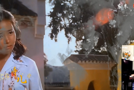 赵运玲 - 梦里见你几回回