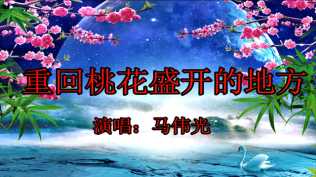 照片视频相册-重回桃花盛开的地方