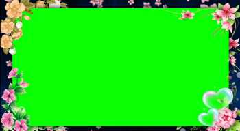 2025绿屏素材-鲜花边框-3-25