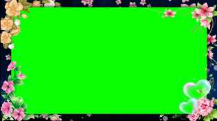 2025绿屏素材-鲜花边框-3-25