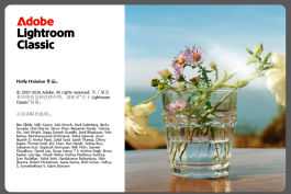 Lightroom Classic 2026图像管理工具V15.2版