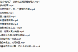 人像摄影以及后期处理技巧(大小:988MB)