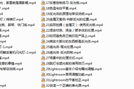 摄影拍摄打光技巧专题教程(大小:1.55GB)