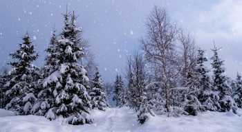 实拍素材-冬天的雪-70款