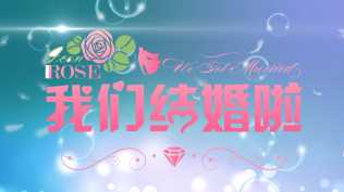 √☆edius浪漫简约婚礼图文相册模板