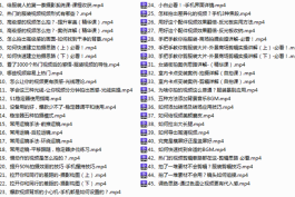 手机服装摄影系统课(大小:2.46GB)
