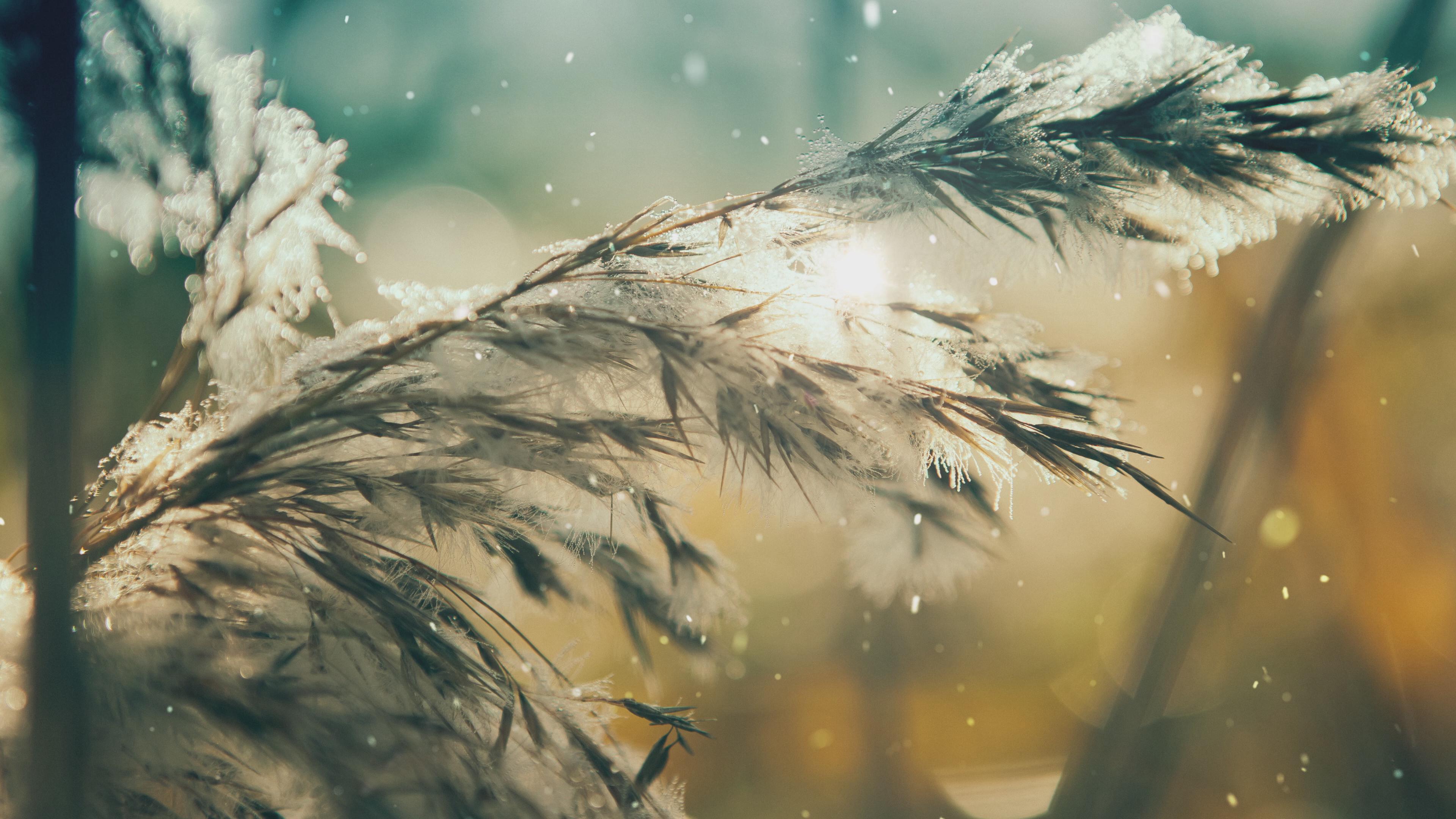 高清视频素材-综合资源区-视频素材|音乐素材-