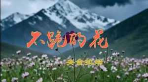 请输入相册名称