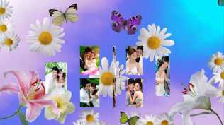 2026第56重发  炫美婚礼照片展示