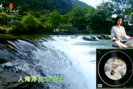 影子-余生要把自己渡