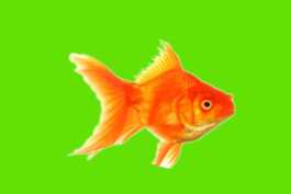 绿屏覆盖-情绪闪图标题套印,效果编辑包-2-30+款