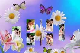 2026第56重发  炫美婚礼照片展示