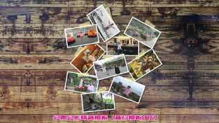 会声会影模板【昔日模板076】