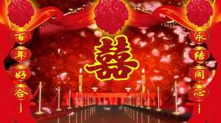 2026第275重发   婚庆片头片尾合集（一）五套