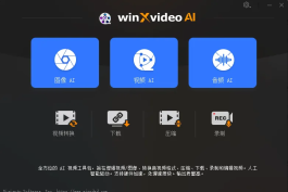 AI视频编辑软件 Winxvideo AI v4.9.0414 多语便携版