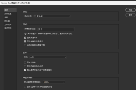 ACR又更新了！Adobe CameraRaw_x64 17.5.1 win版