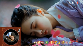 王娜-偏偏放不下你