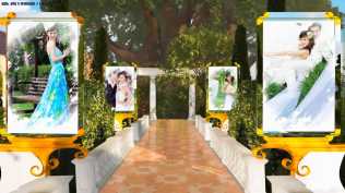 【模板分享】AE风格3D相册  醉相思