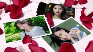 2026第137重发   炫彩仿AE花瓣特效婚礼写真集