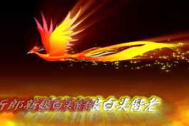 2026第150重发   炫彩倒计时震撼婚礼预告片头