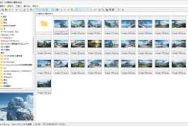 Imagine(轻量级图像浏览器) v2.4.1 中文绿色版