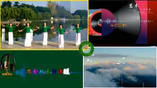 秋叶黄了想爹娘-赵真