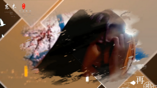 邱春艳 - 再渡梅花泪