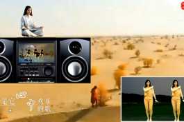 罗海英-天边的骆驼