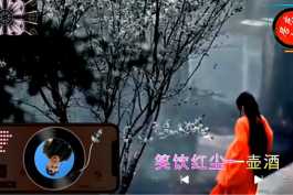 烟圈蔓延 - 笑饮红尘一壶酒