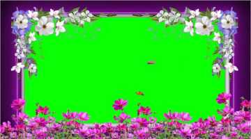2026绿屏素材-鲜花边框-1-25