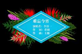 2026第94重发 炫彩唯美字幕条展示（5个）