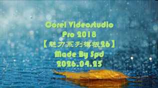 会声会影模板【退休情怀019】