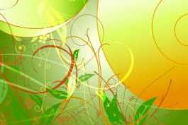 2026自生花背景素材-1-42款