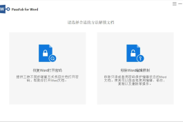 WordPassper for Word  版 v8.5.5.0 | Word文档密码恢复工具 中文绿色 版