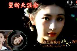赵洋 - 望断天涯念