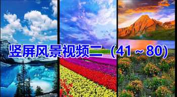 竖版风景视频二（41～80）