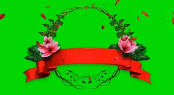 绿屏素材-鲜花朵朵花瓣飞飞-2-38++款