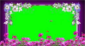 2026绿屏素材-鲜花边框-1-25
