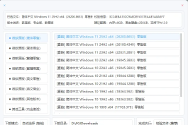 系统高速下载工具(带自动校验功能) v2.2 中文绿色版