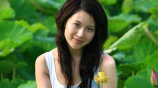 2026第221重发  仿AE字幕婚礼照片特效展示相册