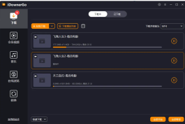 iDownerGo v10.15.3 多语便携版：全能流媒体下载神器，解锁区域限制一键获取4K/8K视频