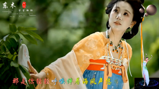 海滩别 - 韩再芬