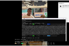 视频号下载工具 v260507 中文绿色版