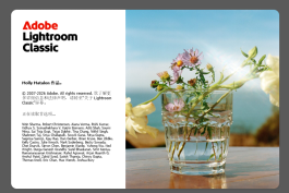 Adobe Lightroom Classic 2026 v15.3.0 for win多国语言版中文版