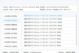 系统高速下载工具 v2.1 中文绿色版一键获取  原版镜像