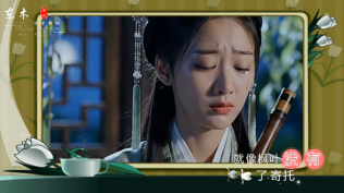 情花开过为何无果-赵洋