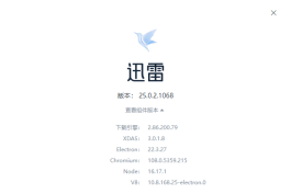 迅雷2025【25.0.2.1068】去广告绿色精简版