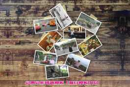 会声会影模板【昔日模板076】