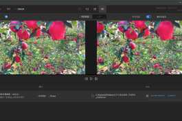 Topaz Video 1.2.0（AI 智能视频无损放大）汉化简体中文版