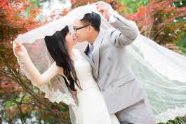 2026第64重发  仿AE时尚浪漫婚礼写真片头